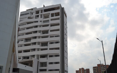 moratto de la floresta constructora monape